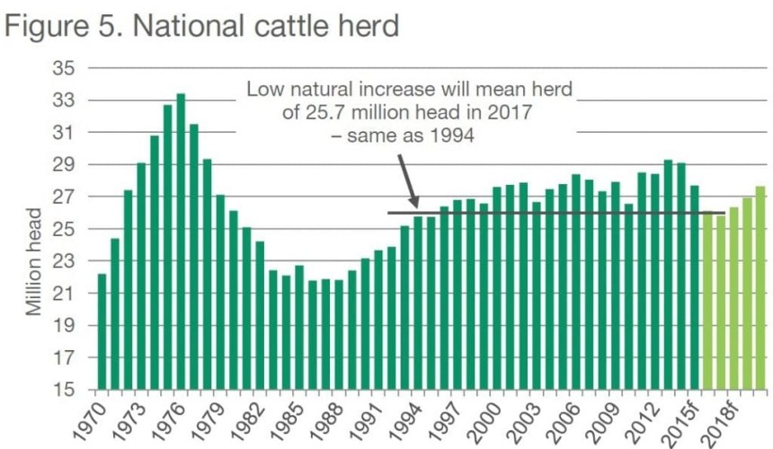 MLA Projections: Tightening supply set to further increase competition in cattle market + VIDEO