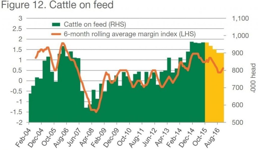 MLA Projections: Grainfed operations less affected by smaller cattle herd