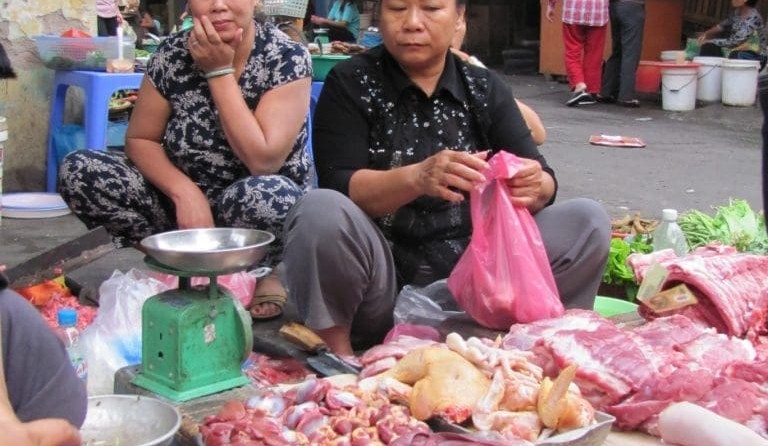 Vietnam slaughter cattle market could be 450c/kg liveweight