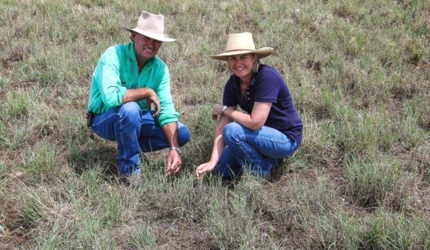 Conversion to cattle trading, less cropping pays off for northern NSW producers