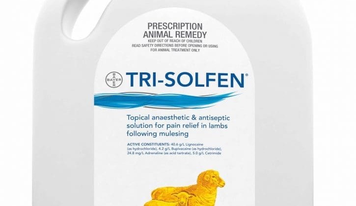 Global interest in Australian pain relief spray for livestock