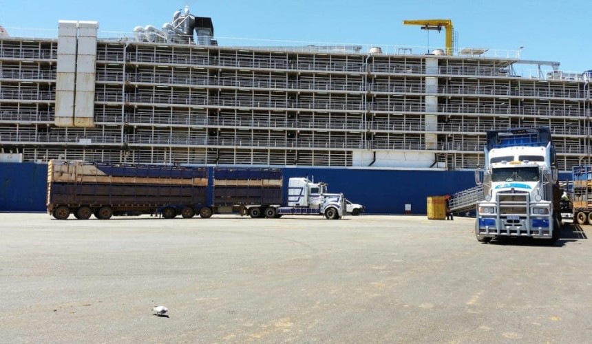 Wellard releases FY 2016 results