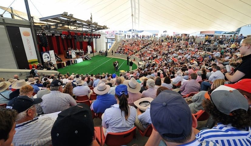 Young auctioneering champs ready for 2016 nationals