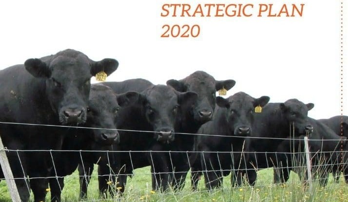 ‘Value-chain thinking’ at heart of beef’s new 5-year plan