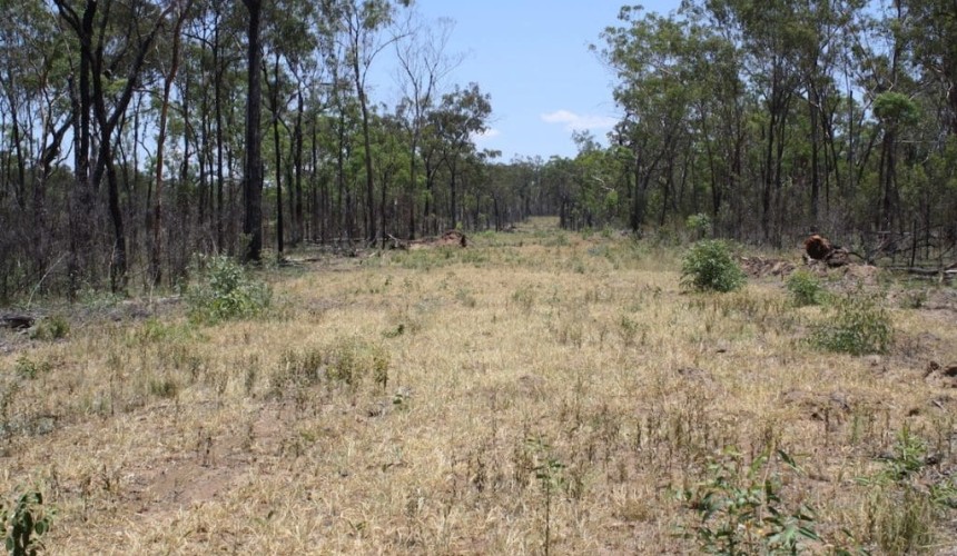 Clarity for bushfire clearing in Queensland
