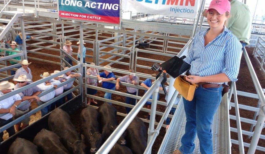 Saleyards enter digital age with live streaming