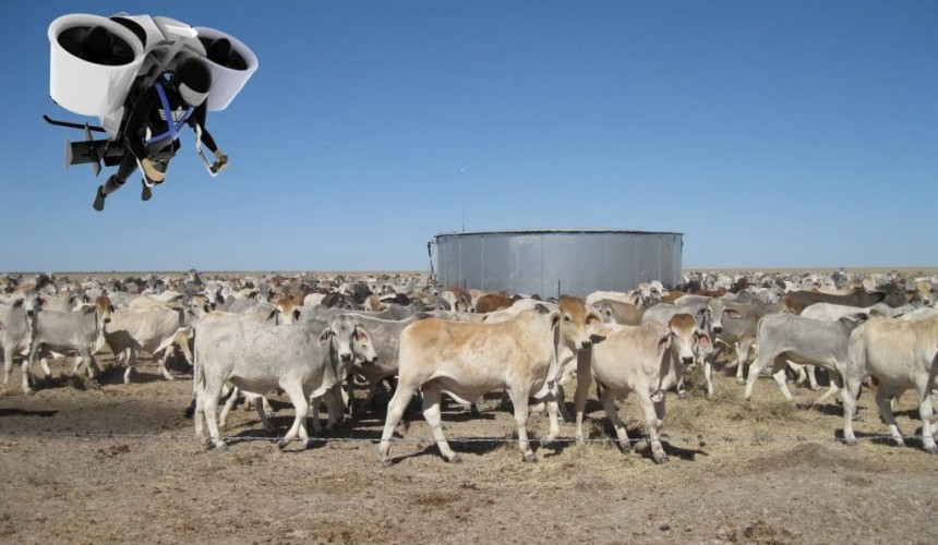 Jet packs, exoskeletons, spider cam: next-gen cattle tech?