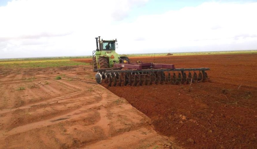 Bindaree’s Chinese investors plan to develop northern WA cattle assets