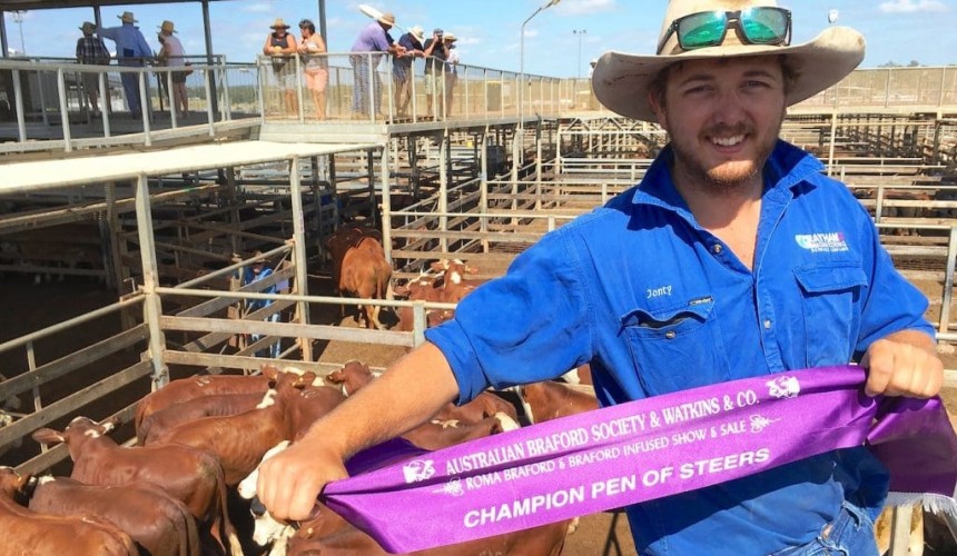 Roma Store 1 Mar 2016: Restockers active on light cattle