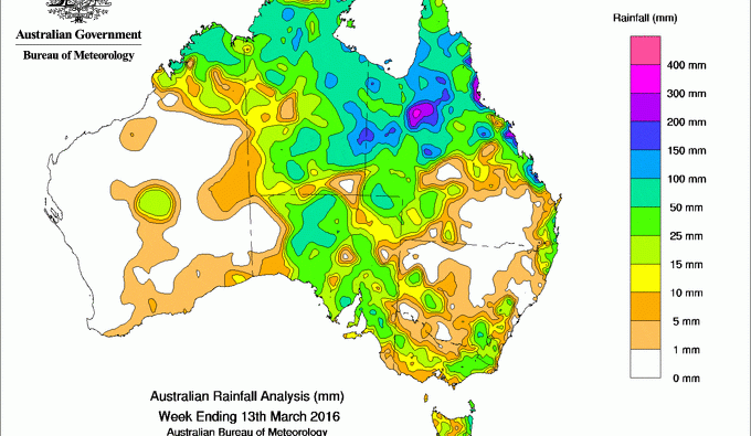 Monsoon delivers timely rain to northern cattle properties