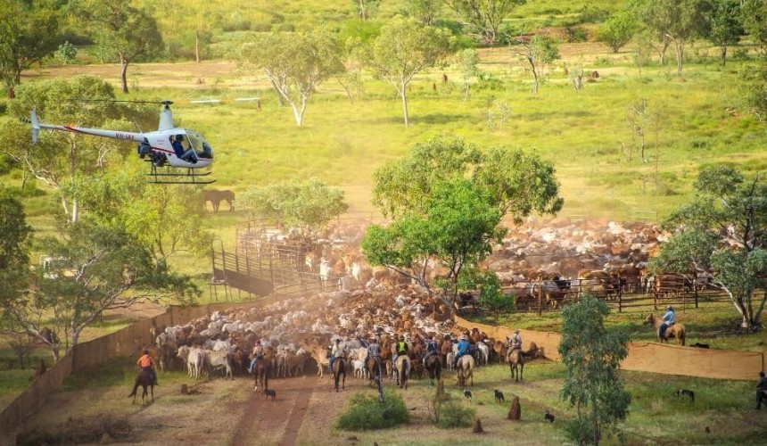 Opinion: Livelihoods depend on governments we can trust