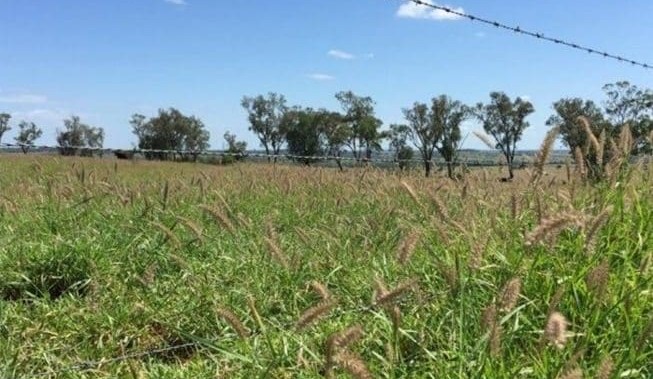 Movement at the Station – A roundup of rural property briefs