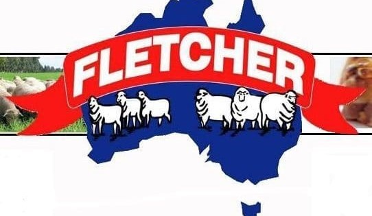 Fletcher’s meat back on rail after horror month for logistics