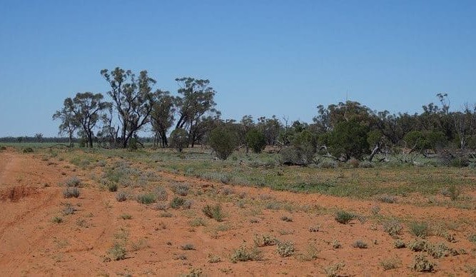 Carbon industry says it is working through integrity concerns