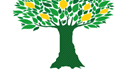 Top 25 Lotfeeders: No. 19 Lemontree