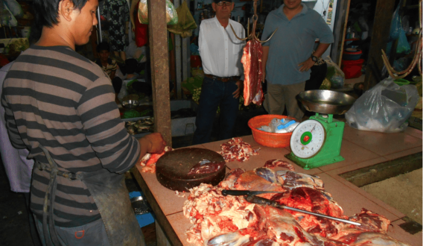 First shipment of Australian cattle arrives in Cambodia