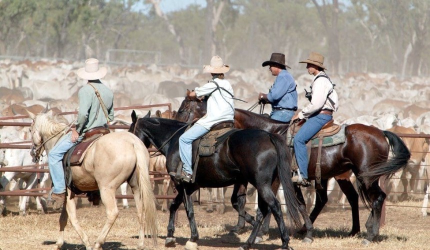 Recruitment: Five steps to leading a great team