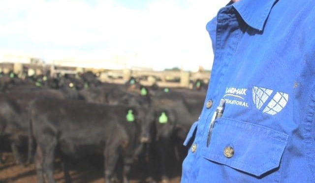 Mexico grants duty-free access for imported beef