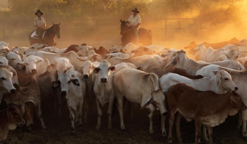 Heytesbury buys CPC’s Humbert River station to expand VRD holdings