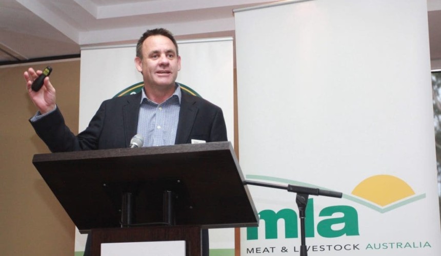 Domestic beef marketing now back on track: Norton