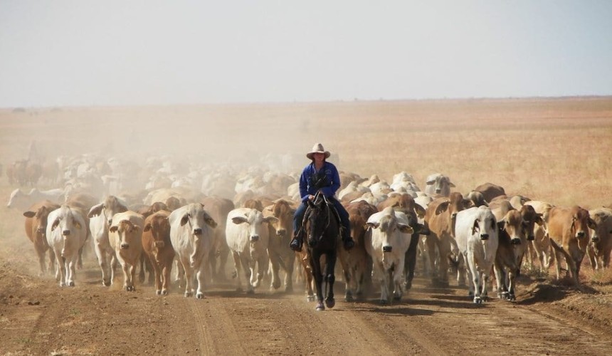 Qld landholders considering freeholding advised to act fast