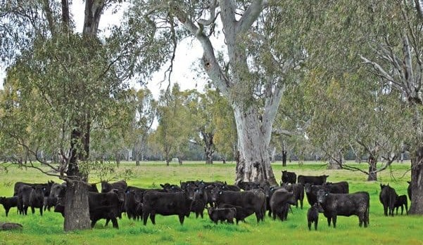 Movement at the Station – A roundup of rural property briefs