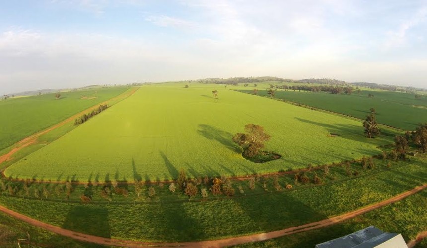 Weekly Property Review: Riverina emerges as a ‘hot spot’