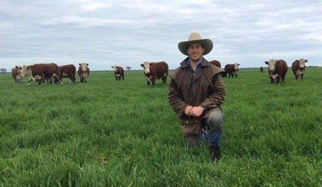 Rising Champ initiative a “great opportunity”, says NSW cattle producer
