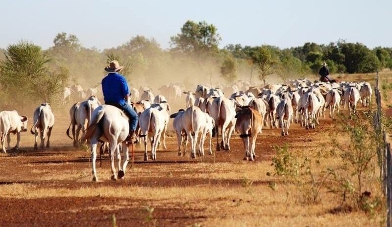 Swiss buyer claims Gulf country’s Neumayer Valley for $40m+