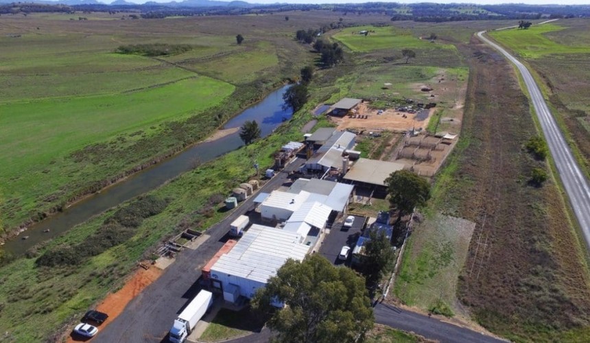 Chinese still showing interest in processing assets