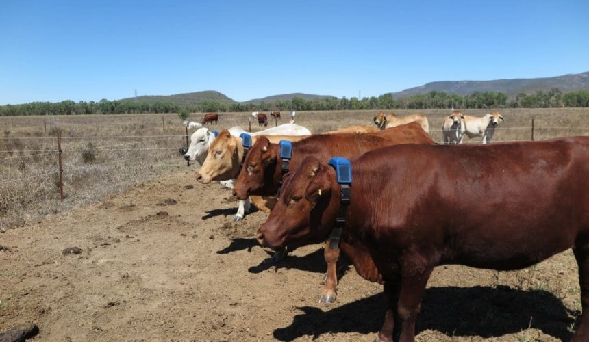AgData: Putting farm data to profitable use