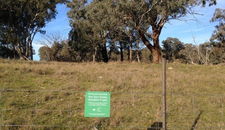 Here’s a good news conservation story: farmers are helping endangered ecosystems