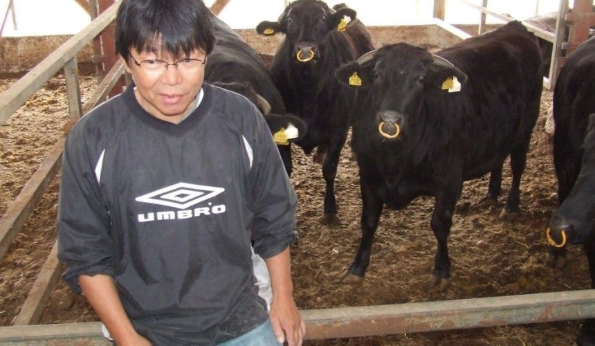Japan suspends cattle imports from Australia