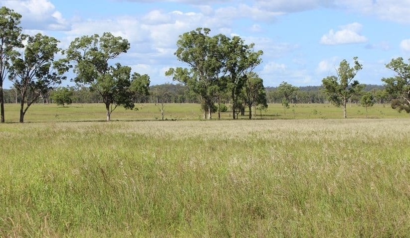 Property: ‘Red-hot’ demand delivers pre-auction contract for Qld’s Deepbank