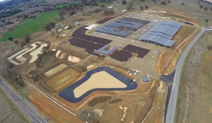 New saleyards: Staff find their feet at SELX in preparation for first sale