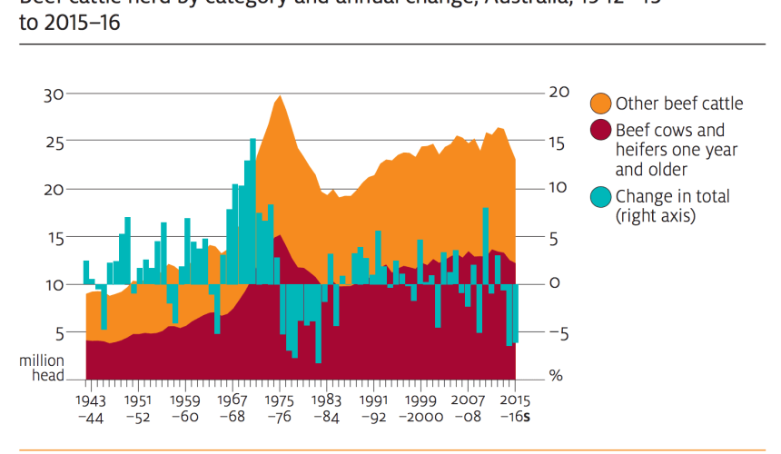 Recent dynamics in the Australian beef herd in focus