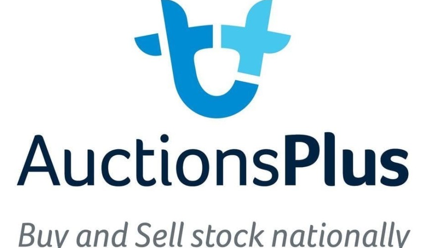 Internal appointment for AuctionsPlus CEO role