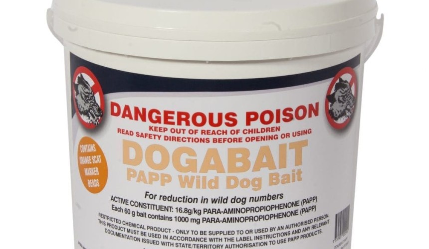 New dog baits: is a farmer-useable antidote likely?