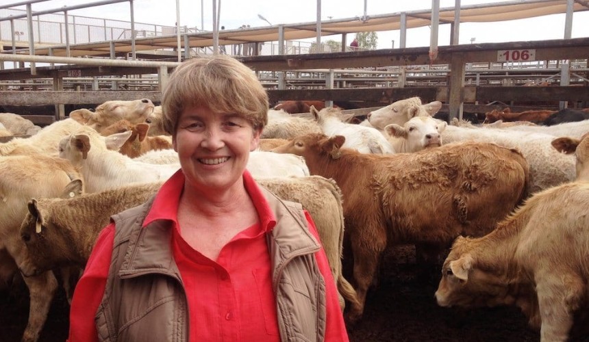 Roma store 26 Jul 2016: Feeder cattle see strong demand