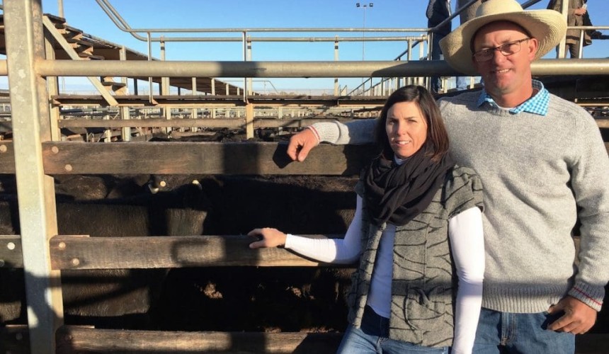 Roma store 5 July 2016: Weaners soar in 10,600 head yarding