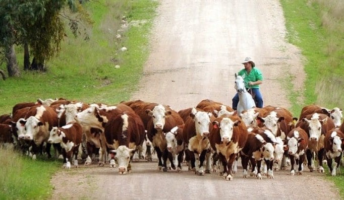 Weekly genetics review: Selection & sustainability becoming a more common conversation
