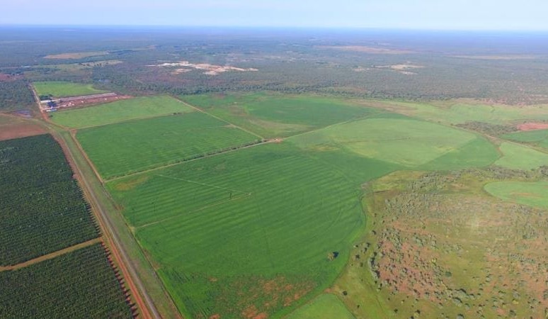 Gina Rinehart adds NT export depot to recent northern cattle acquisitions