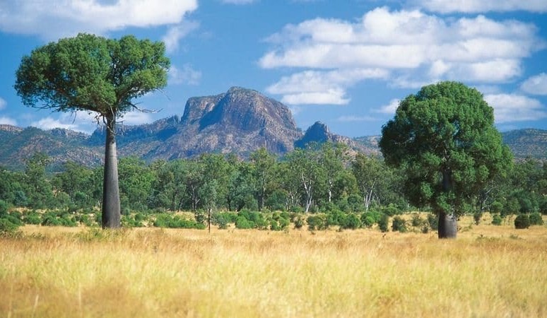 Property: Rolleston’s Rewan sells as part of $50m RFG beef purchases