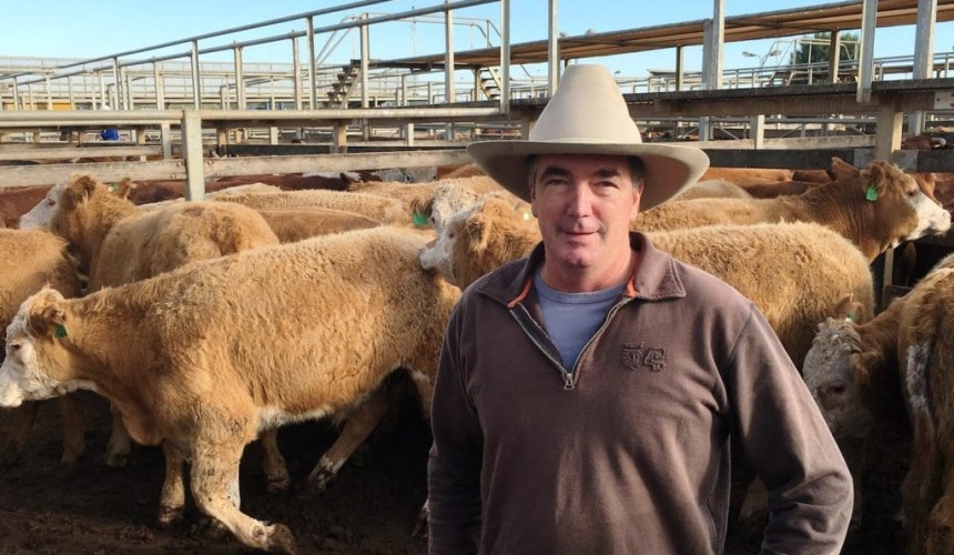 Roma Store 2 Aug 2016: Extra NSW restocker demand drives records