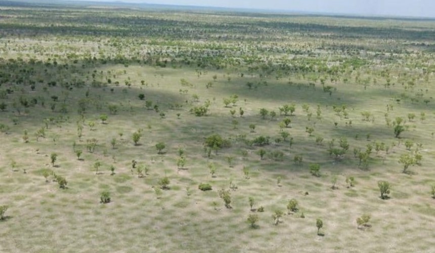 High expectations for NT’s Aroona Station listing