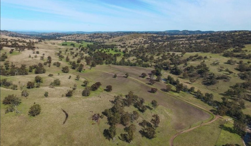 Movement at the Station: A roundup of rural property briefs