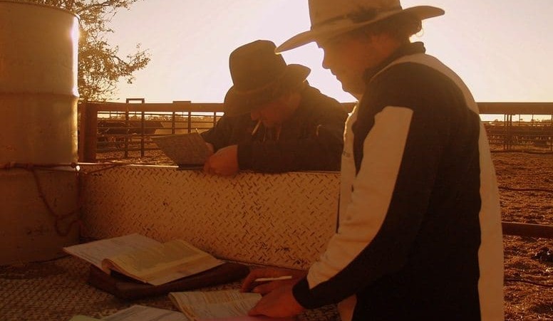 Learning to do beef business better + VIDEO