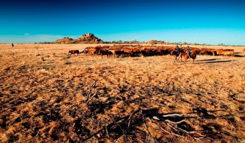 ‘Fork to farm’ profit drivers to be revealed at Beef 2018