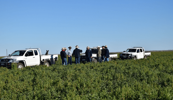 Work begins on rail upgrades for Oakey Beef