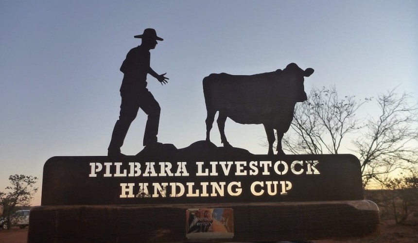 Animal welfare, teamwork and stockmanship celebrated in Pilbara Cup + PICS